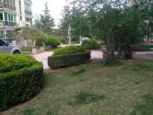 新港城 4室1厅 南 北