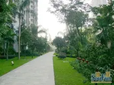 彩虹道正规两房出售!户型方正彩光好!