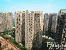 万科金域松湖一期小三房 业主急卖