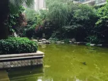 石马河 金科十年城东区三房136万