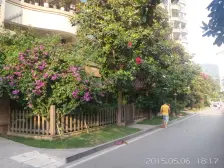 九公里恒大城三期,户型方正,楼下就是人工湖,安静