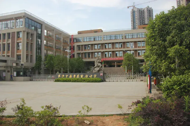 再满足老婆的需求,周边有岳麓区实验小学,长郡梅溪湖中学,光是这两个