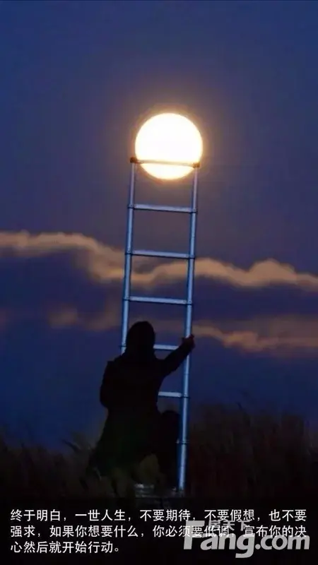 人生如此,请向前看!