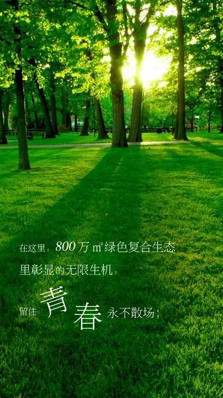 父亲陪我们一起长大 我们陪父亲一起还童