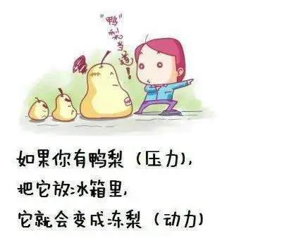 买了房子后最直接感觉是什么 我是:有压力有动力