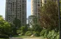 保利叶上海实景图