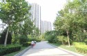 太阳公元实景图