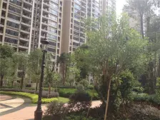 中信森林湖,中海物业 满五唯一,无欠款,带装修