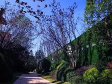 西永 金科天宸一街区四房280万