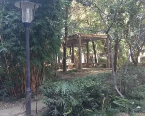 泰康家园 3室2厅 南