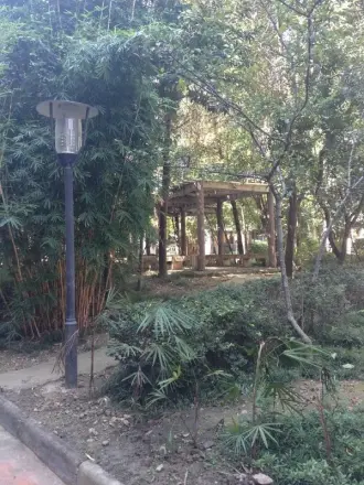 泰康家园实景图