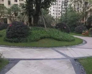 钱江美域 3室2厅 南 北