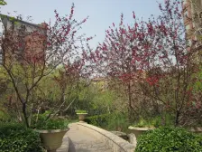 性价比高三居!一梯两户!华侨城板楼!高绿化率,门口地铁,商场