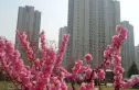 太阳公元实景图