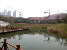 装了350万,多个套房,带影音室,带活动室3+2结构