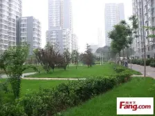 远洋山水3室1厅南北