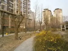 富力又一城C区5室2厅南北