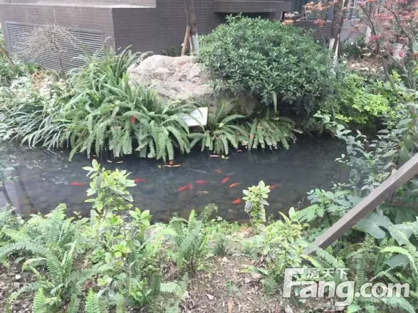 摩玛城实景图