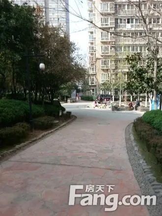 鑫龙天然居