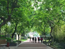 优品尚东三期 3室2厅 南