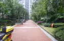 城南名著实景图