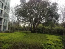 边套大复式位置安静,满五V1。自住看房方便,张集空置