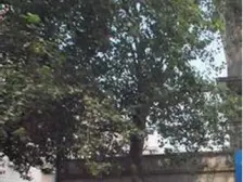 警察学院家属院 双气三房 停车方便 高楼层采光好