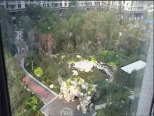 中信沁园 全南向两居 好位置 对花园