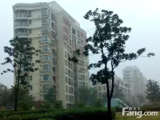 联航路地铁站800米、一梯两户、南北通透户型、采光好