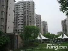 新挂牌+带边窗+中芯位置+纯毛坯+近地铁+张集