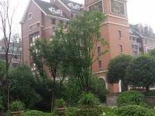 龙头寺 华宇天宫花城A区四房220万