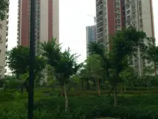 南桥寺 聚慧雅苑二房103万