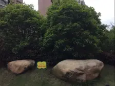 联泰香域滨江 南北通透,采光好 近地铁 周边匹套完善,,出行方便