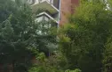 大华南湖公园世家实景图