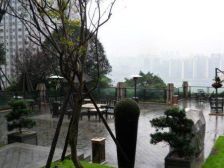 大户型+端头看江+采光不错+看江北嘴夜景