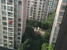 一室一厅,朝南,太阳充足,诚心出售