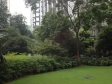 汽博中心 奥林匹克花园四期四房98万