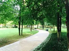 汽博中心 奥林匹克花园七期(紫枫郡)三房