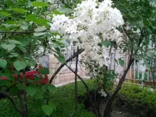 新港城D区一楼带院三室两厅两卫位置好