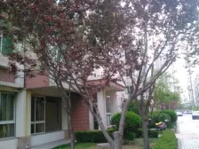 新港城95平米的南北通透落地窗干湿分离可拎包入住