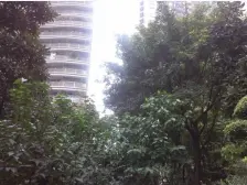 华宇广场四房,诚心出售,朝向安静,平层