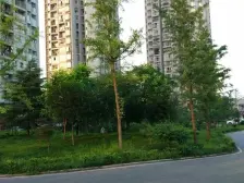 申佳子溪苑 2室1厅 南