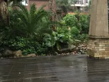 鸳鸯 融科海阔天空二期四房