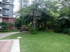 香树丽舍南向大三房,满五唯一 换房诚意出售