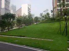 汽博中心 奥林匹克花园一期(雅典阳光)四房360万