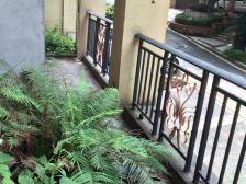 复地别院 5室3厅 南 北