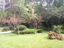 龙湖三千城A区 3室1厅 南